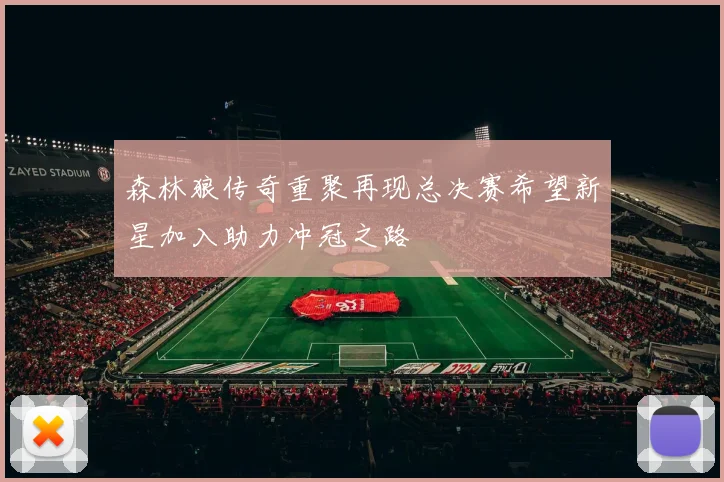 森林狼传奇重聚再现总决赛希望新星加入助力冲冠之路
