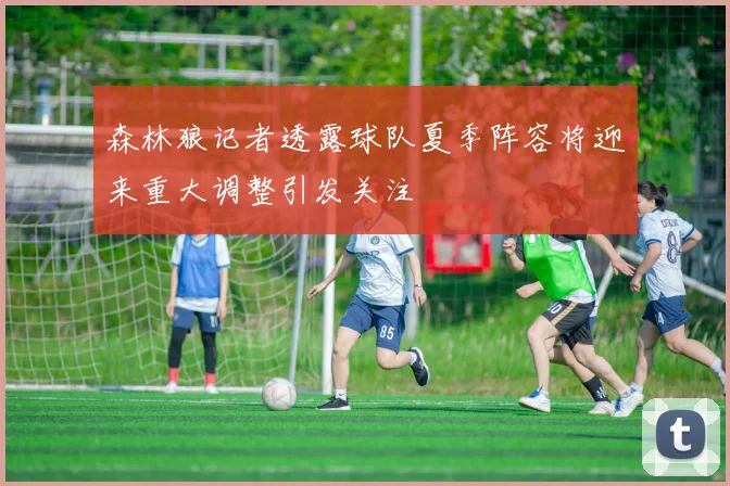 森林狼记者透露球队夏季阵容将迎来重大调整引发关注